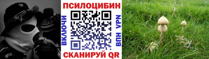 Галлюциногенные грибы GOLDEN TEACHER  Купить закладки  Строитель 